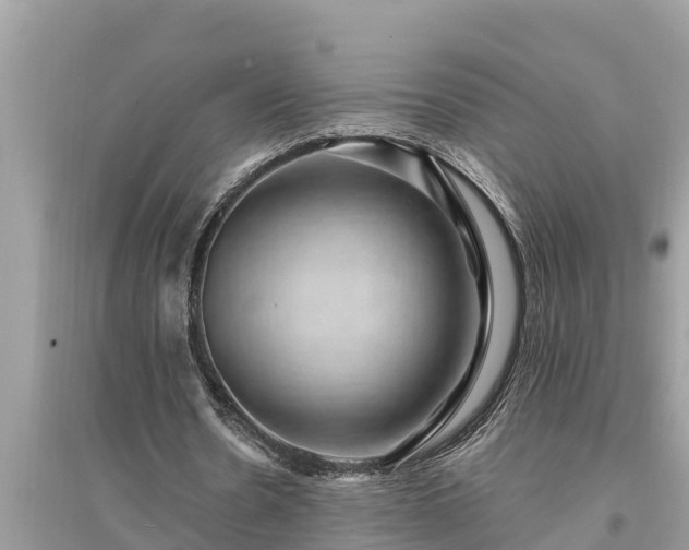 X0000095540530200712211349