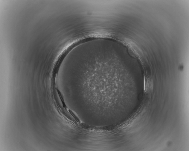 X0000095540531200712211349