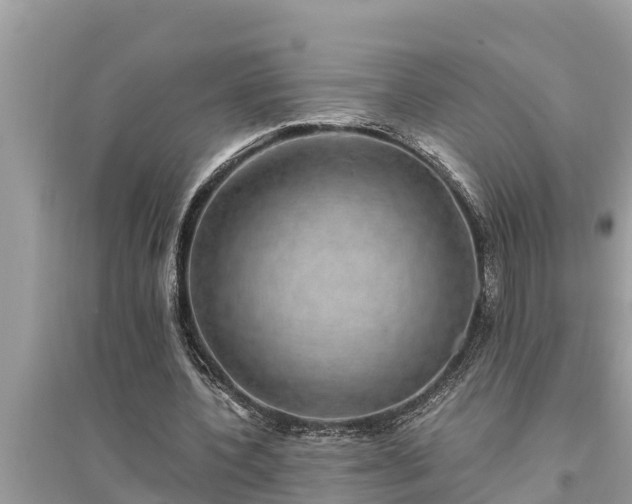 X0000095540532200712211350