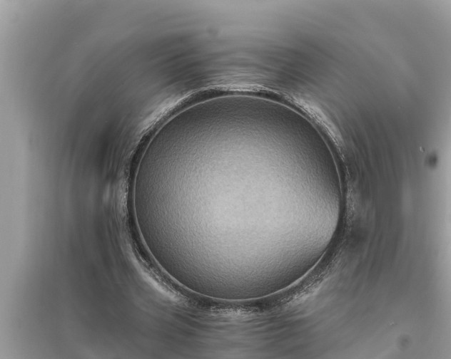 X0000095540533200712211350