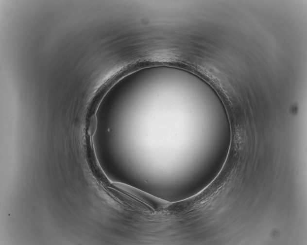 X0000095540535200712211350