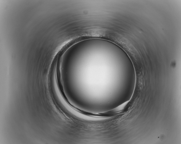 X0000095540536200712211350