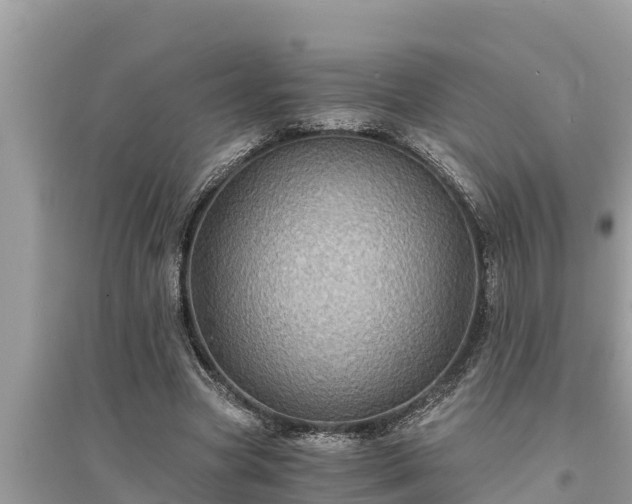 X0000095540537200712211350