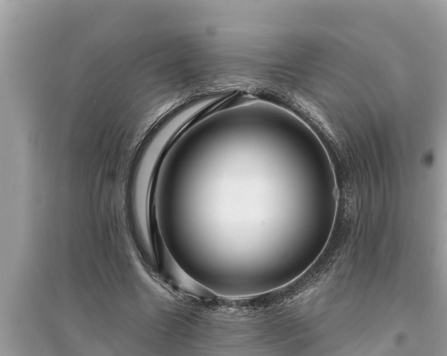 X0000095540538200712211350