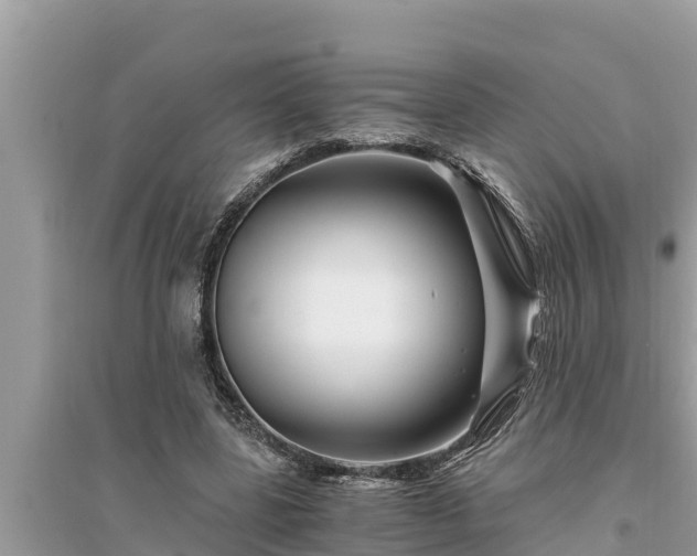 X0000095540539200712211350