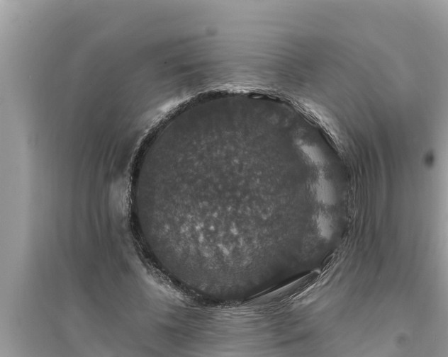 X0000095540540200712211350