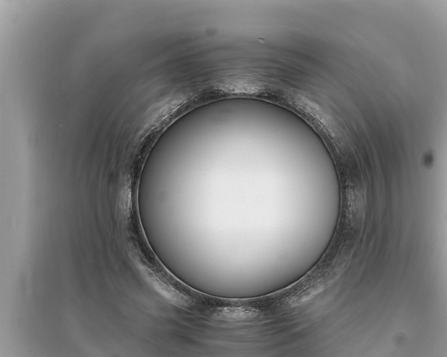 X0000095540541200712211350