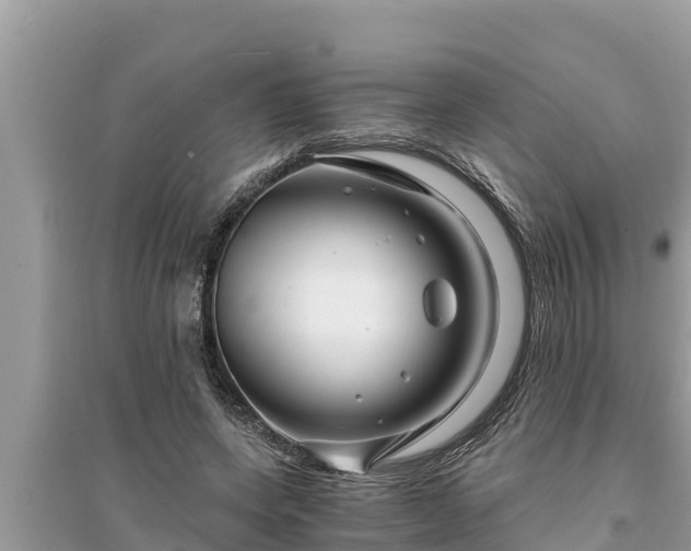 X0000095540543200712211350