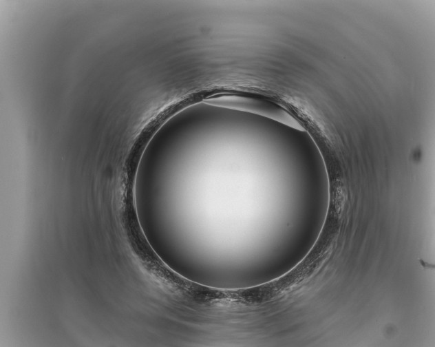 X0000095540544200712211350