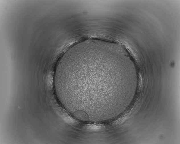 X0000095540545200712211350