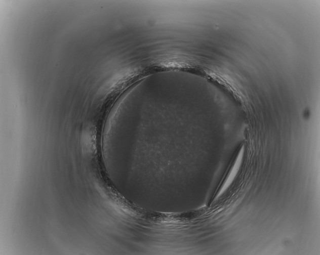 X0000095540547200712211350