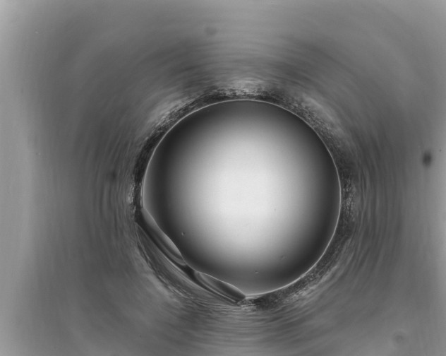 X0000095540548200712211350