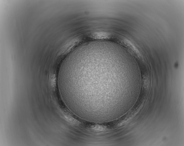 X0000095540549200712211350