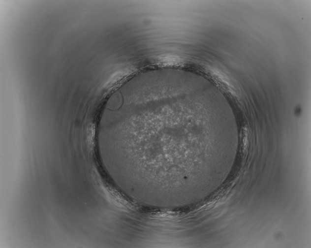 X0000095540550200712211350