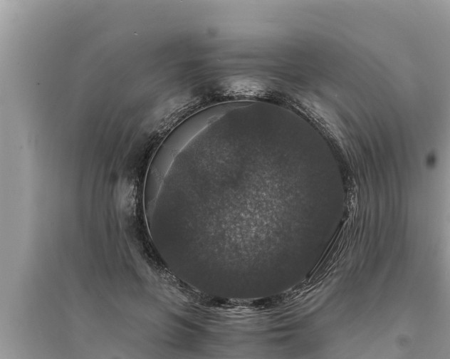 X0000095540551200712211350