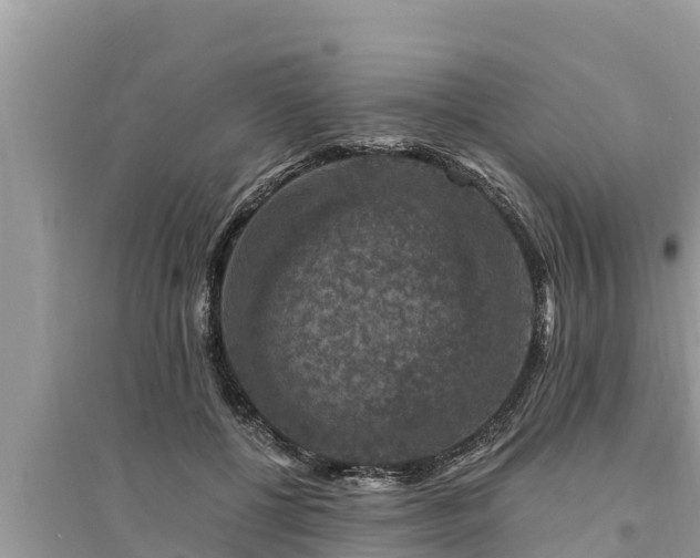 X0000095540552200712211350