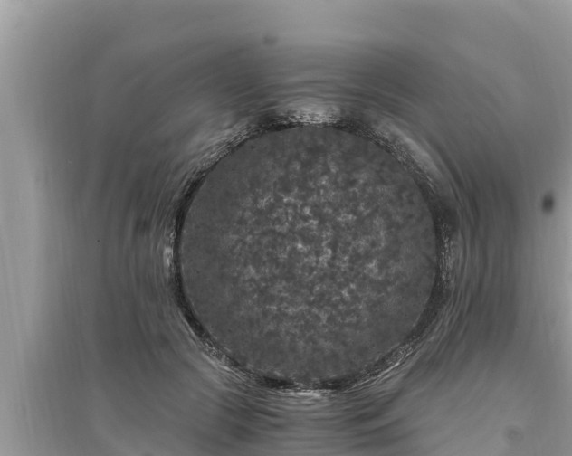 X0000095540553200712211350