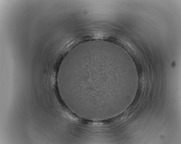 X0000095540554200712211350