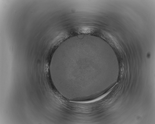 X0000095540555200712211350