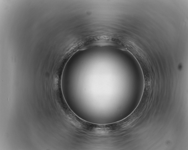 X0000095540556200712211350