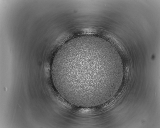 X0000095540557200712211350