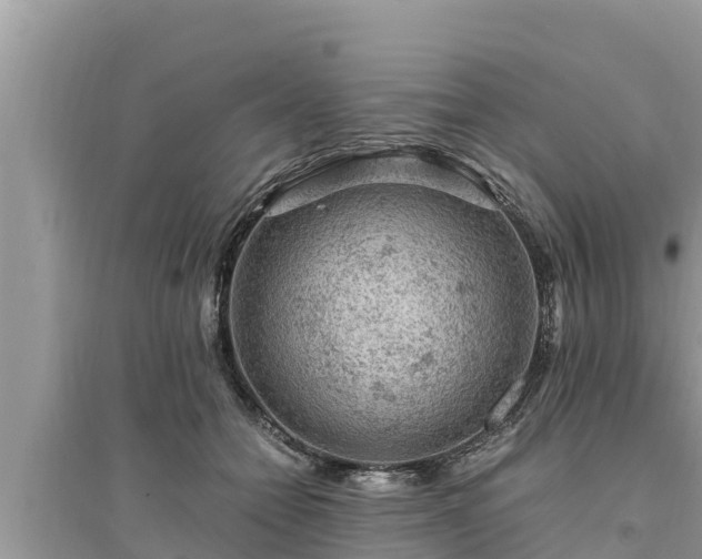 X0000095540558200712211350