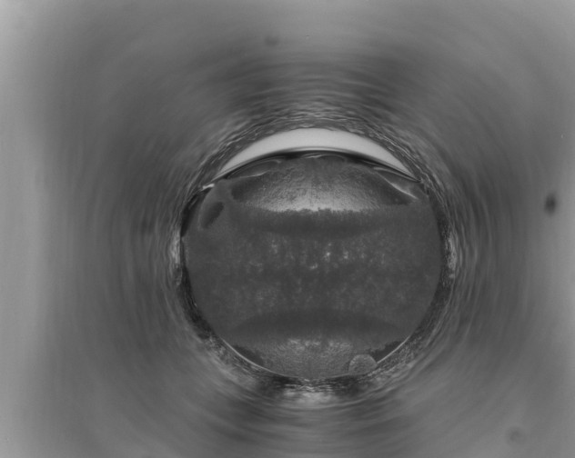 X0000095540559200712211350