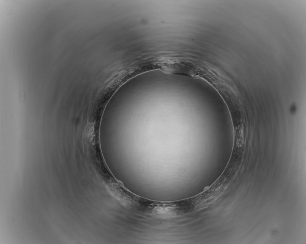 X0000095540560200712211350