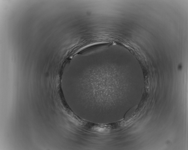 X0000095540563200712211350