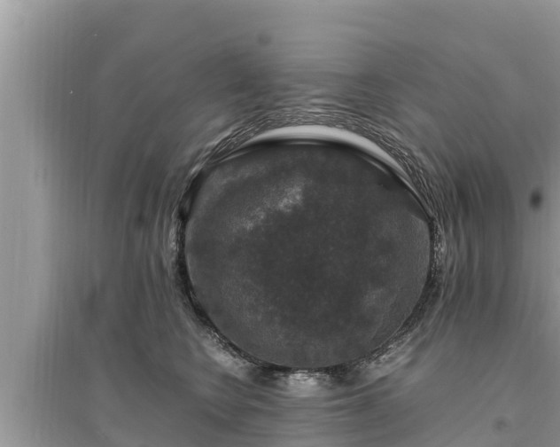 X0000095540566200712211350