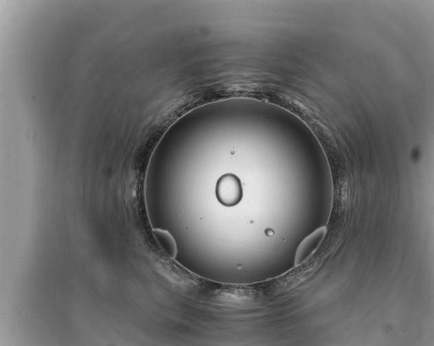 X0000095540567200712211350