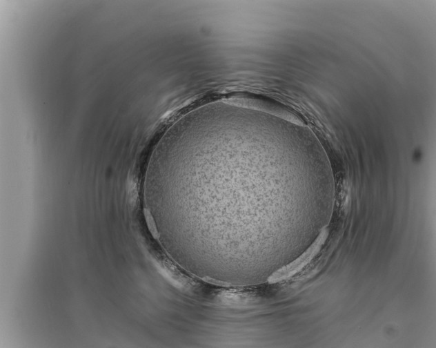 X0000095540568200712211350