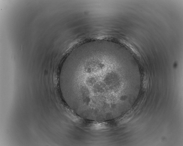 X0000095540569200712211350