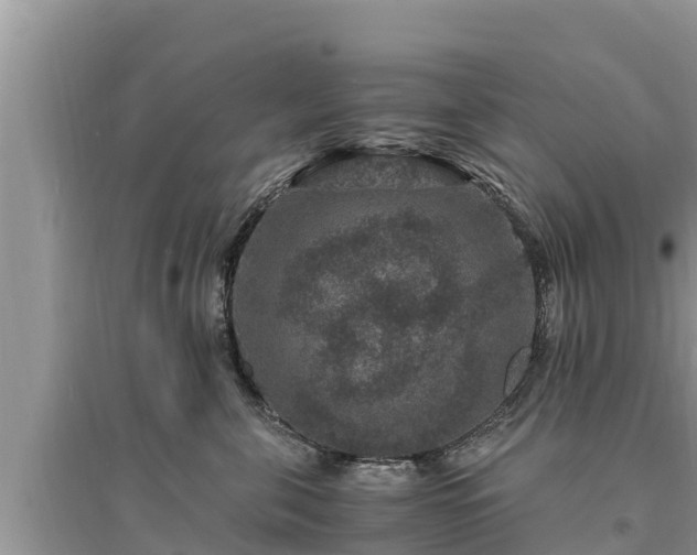 X0000095540571200712211350