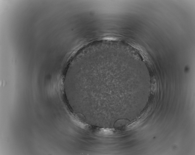 X0000095540573200712211350