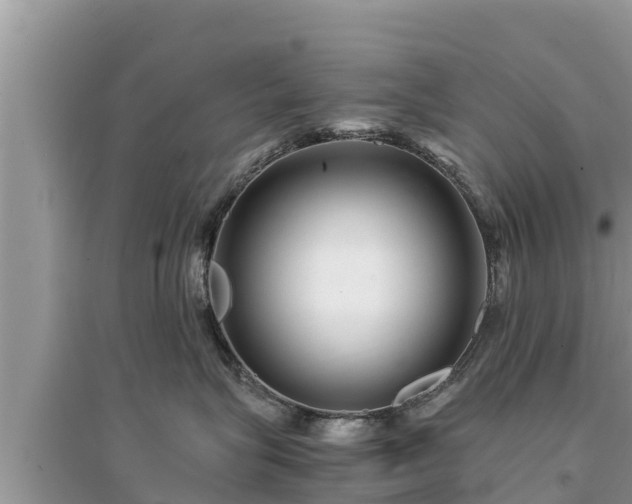 X0000095540575200712211350