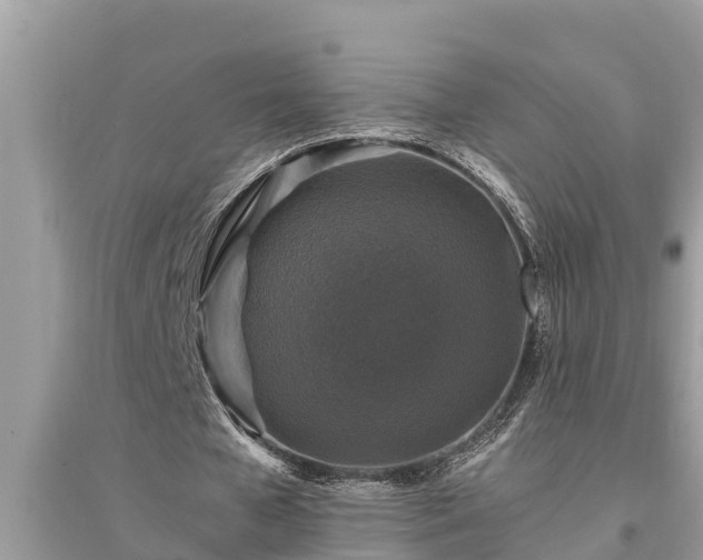 X0000095540577200712211349