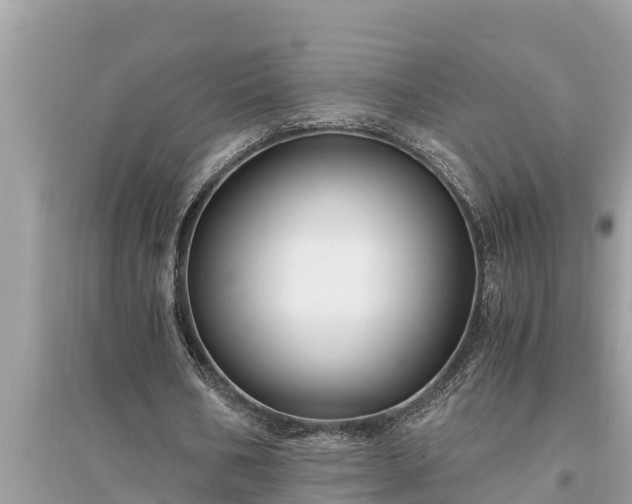 X0000095540578200712211349