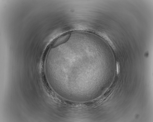 X0000095540579200712211349