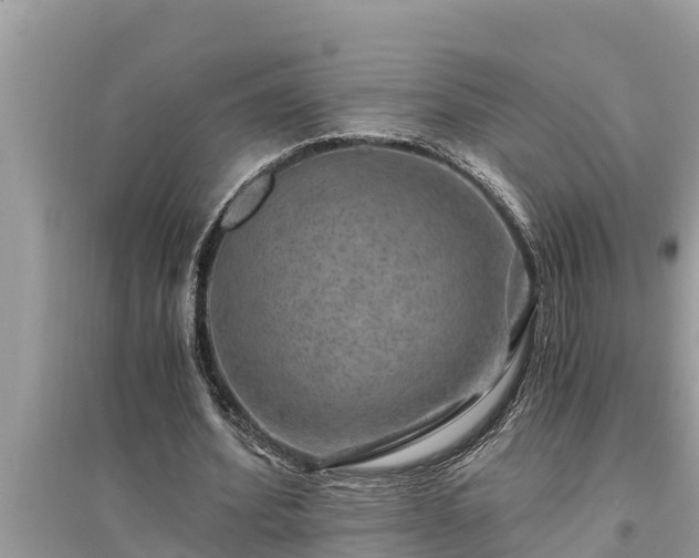 X0000095540580200712211349