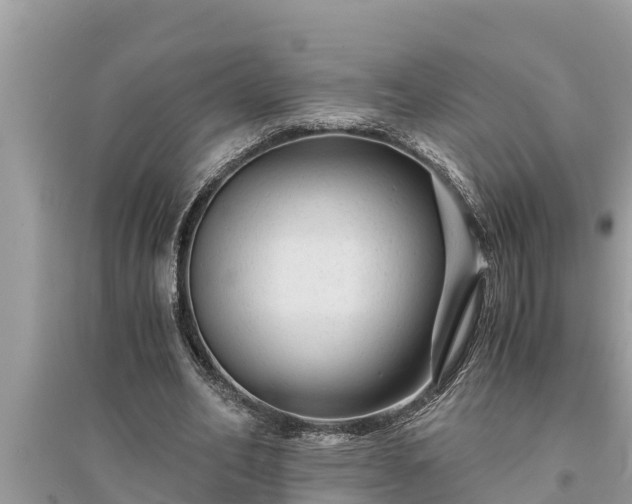 X0000095540582200712211349