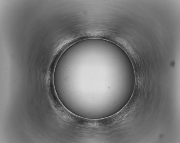 X0000095540583200712211349