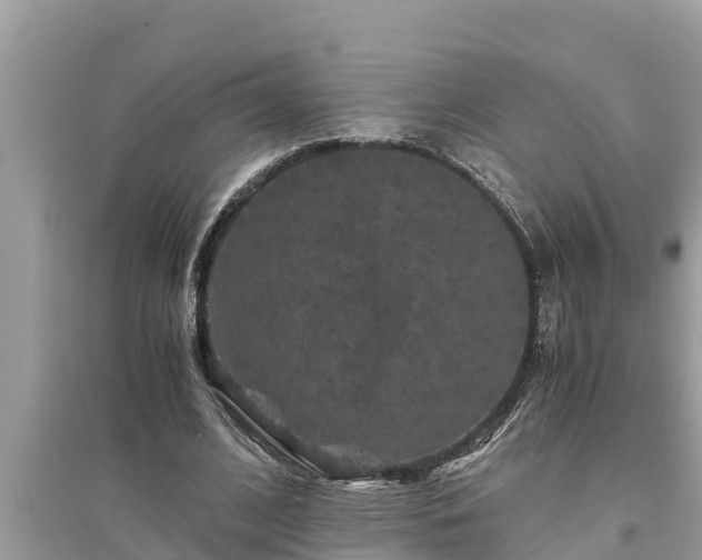 X0000095540584200712211349