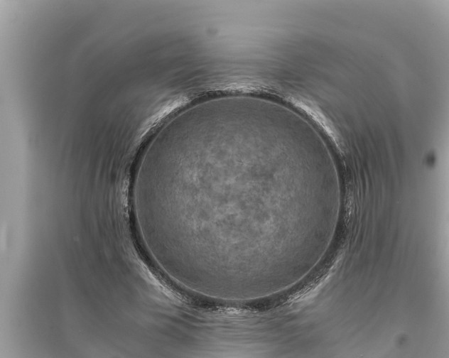 X0000095540585200712211349