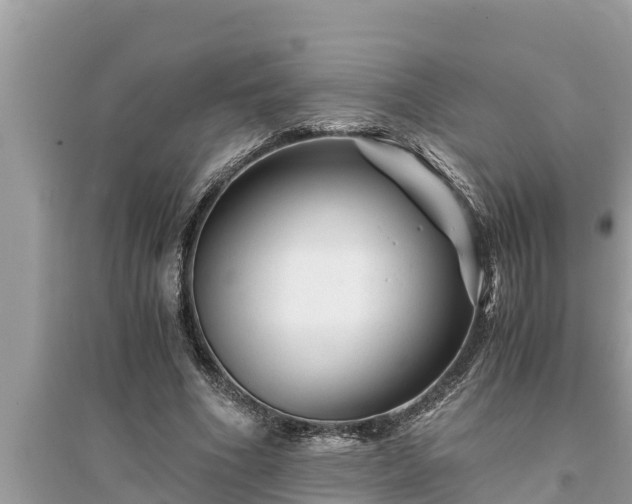 X0000095540586200712211349