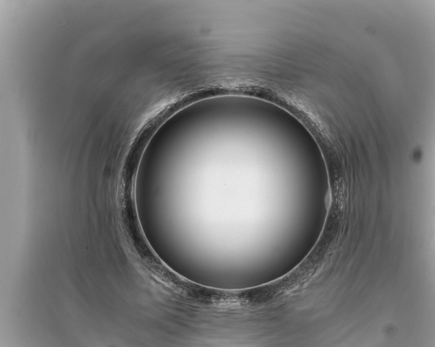 X0000095540587200712211349