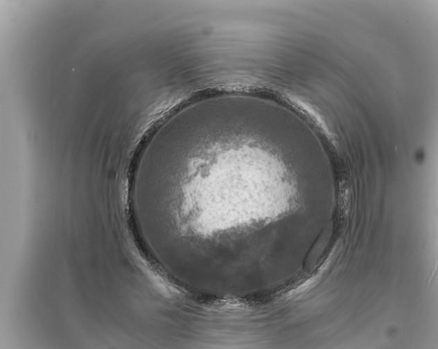 X0000095540589200712211349