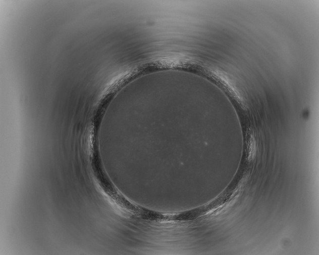 X0000095540590200712211349