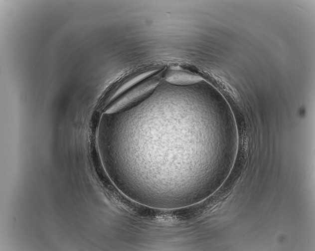 X0000095540591200712211349