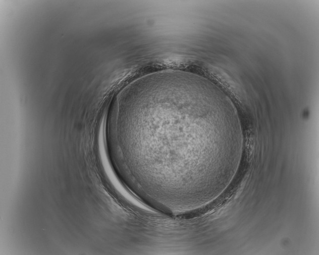 X0000095540593200712211349